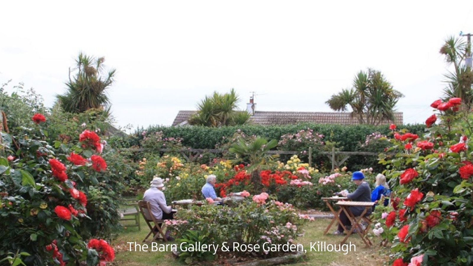The Barn Gallery & Rose Garden, Killough